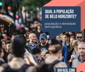 tamanho populacional de bh