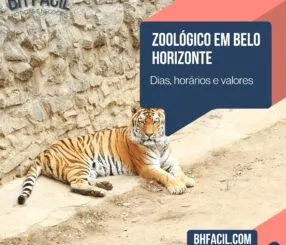 zoologico em belo horizonte