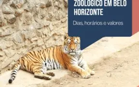 Zoológico de Belo Horizonte: Passeio com a família e crianças