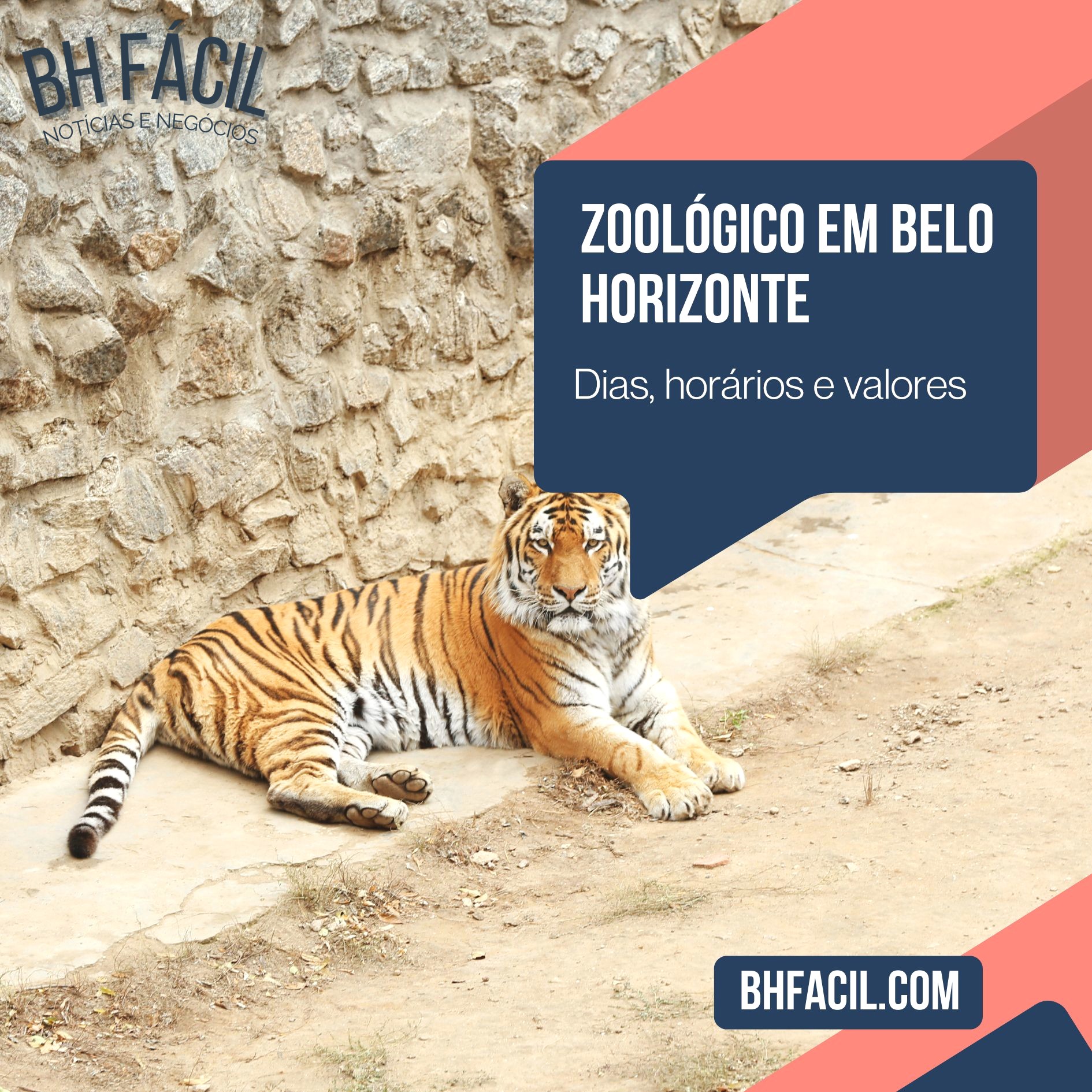 Zoológico de Belo Horizonte: Passeio com a família e crianças